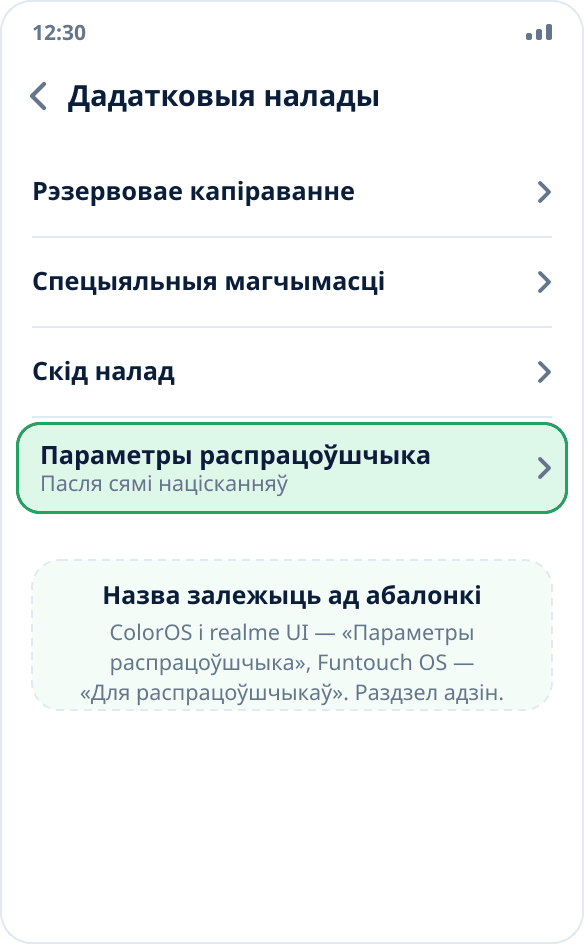 Раздзел «Дадатковыя налады» на ColorOS: пункт «Параметры распрацоўшчыка» ў канцы спіса