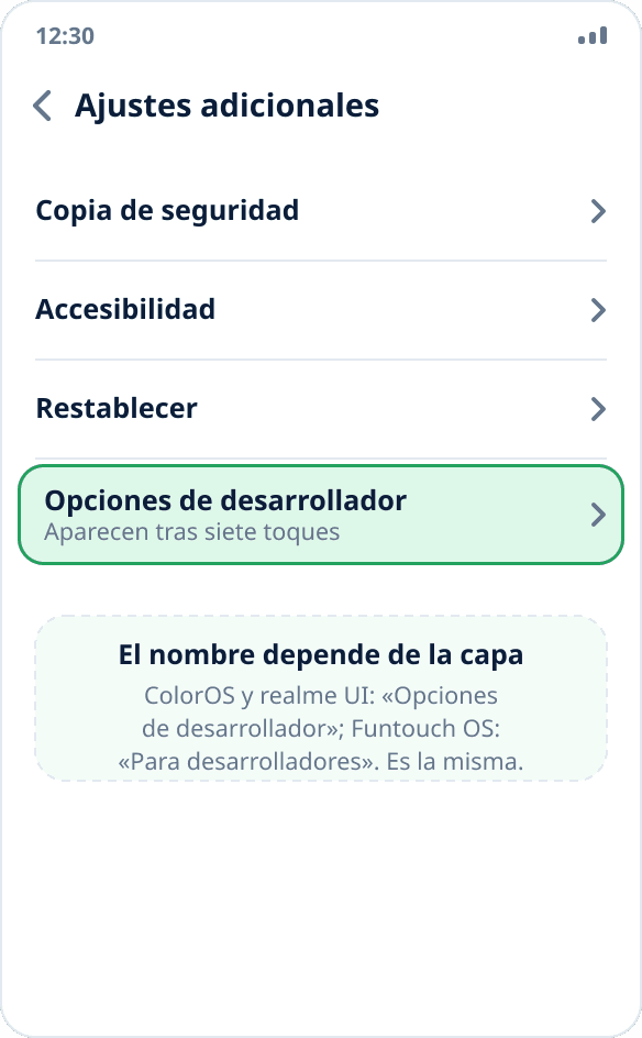 La sección «Ajustes adicionales» en ColorOS: «Opciones de desarrollador» al final de la lista