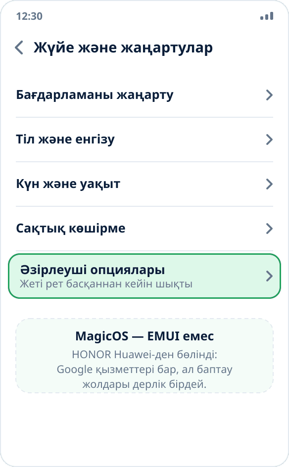 HONOR-дағы «Жүйе және жаңартулар» бөлімі: режим қосылғаннан кейінгі «Әзірлеуші опциялары» тармағы