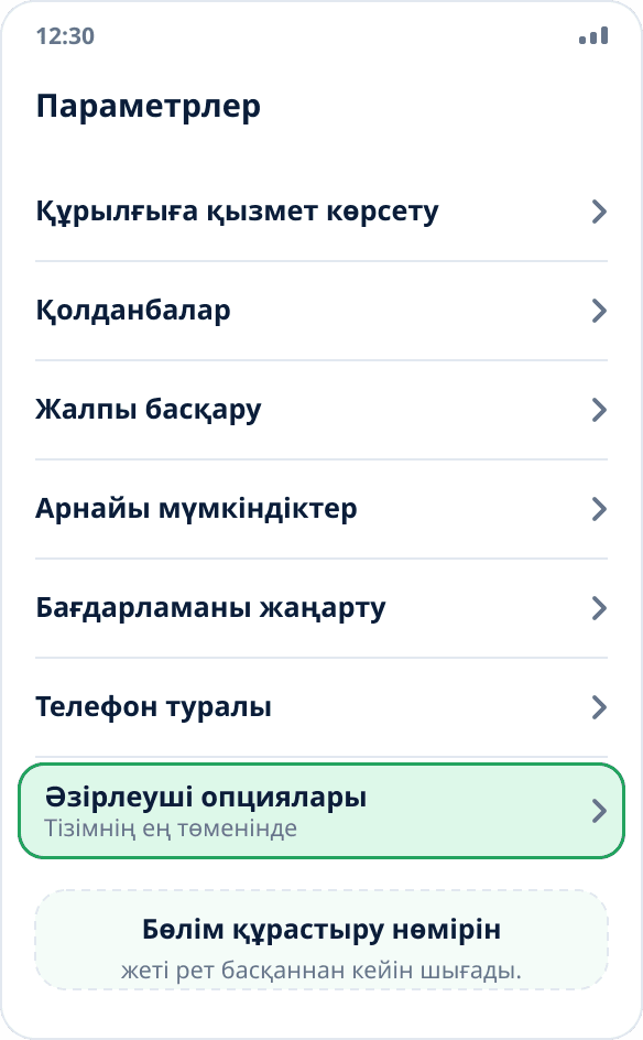 Samsung баптауларының жалпы тізімі: «Әзірлеуші опциялары» тармағы ең төменде
