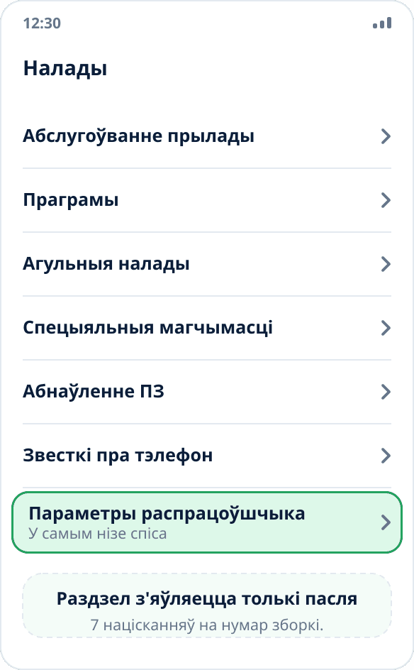Агульны спіс налад Samsung: пункт «Параметры распрацоўшчыка» знаходзіцца ў самым нізе