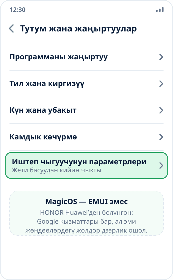 HONOR’догу «Тутум жана жаңыртуулар» бөлүмү: режим күйгүзүлгөндөн кийинки «Иштеп чыгуучунун параметрлери»