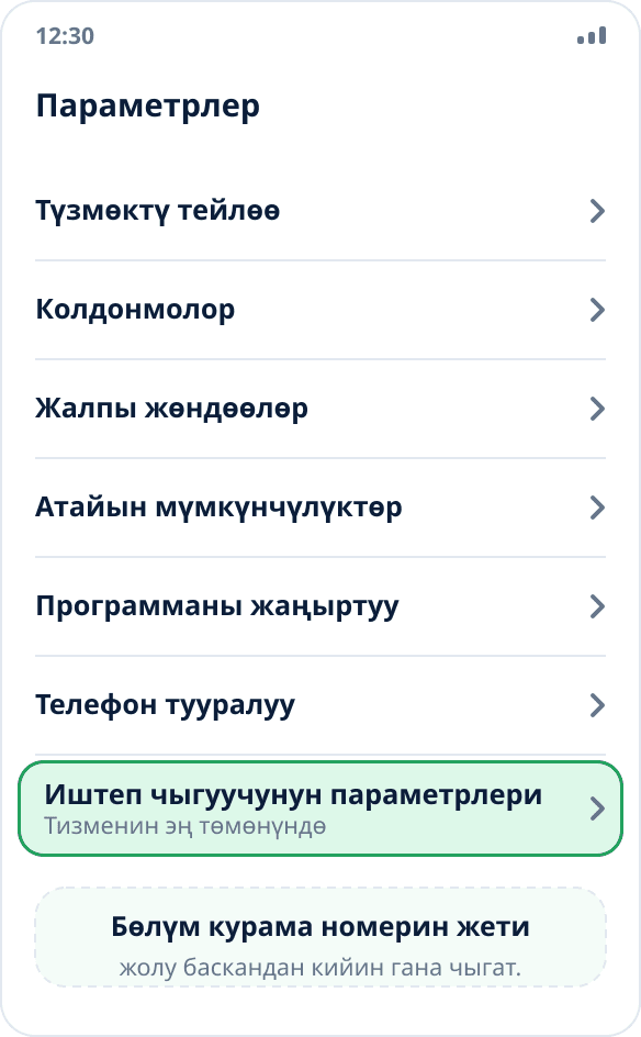 Samsung жөндөөлөрүнүн жалпы тизмеси: «Иштеп чыгуучунун параметрлери» эң төмөндө