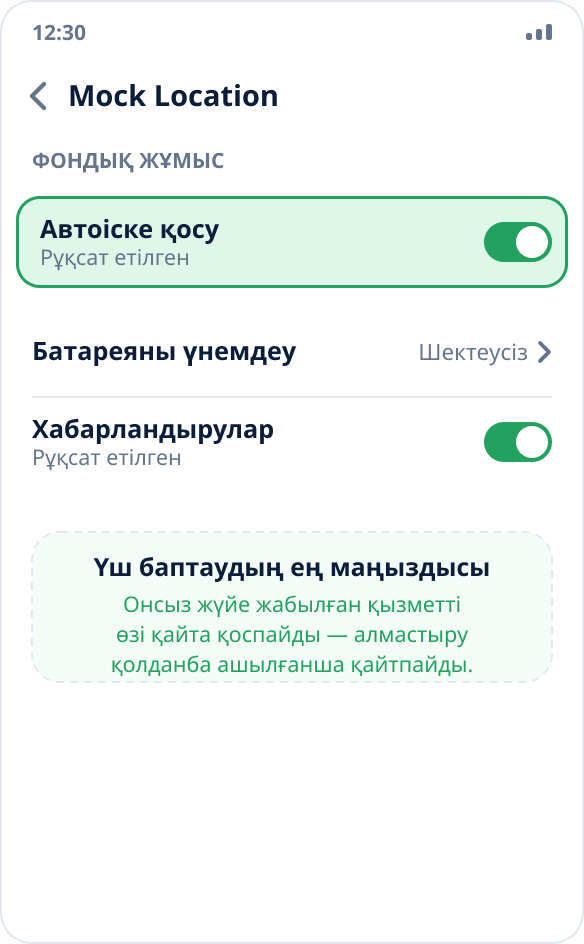 MIUI баптауларындағы қолданба экраны: «Автоіске қосу» ауыстырғышы қосулы