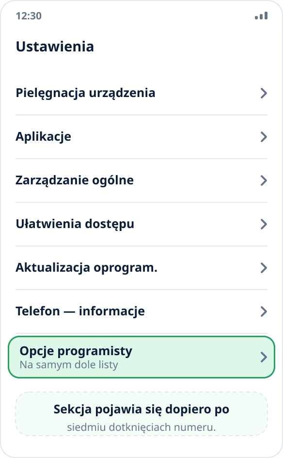 Główna lista ustawień Samsunga: „Opcje programisty” są na samym dole