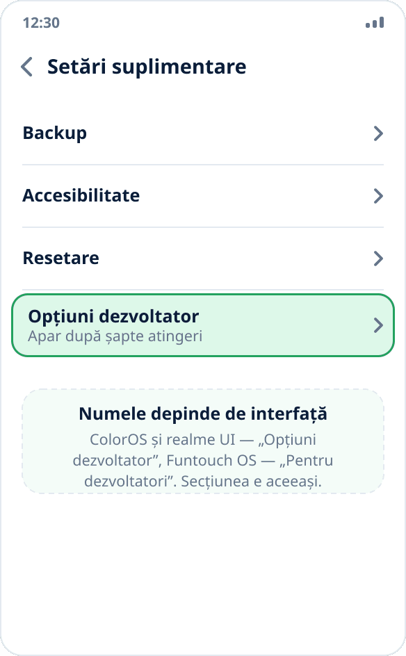 Secțiunea „Setări suplimentare” pe ColorOS: „Opțiuni dezvoltator” la finalul listei