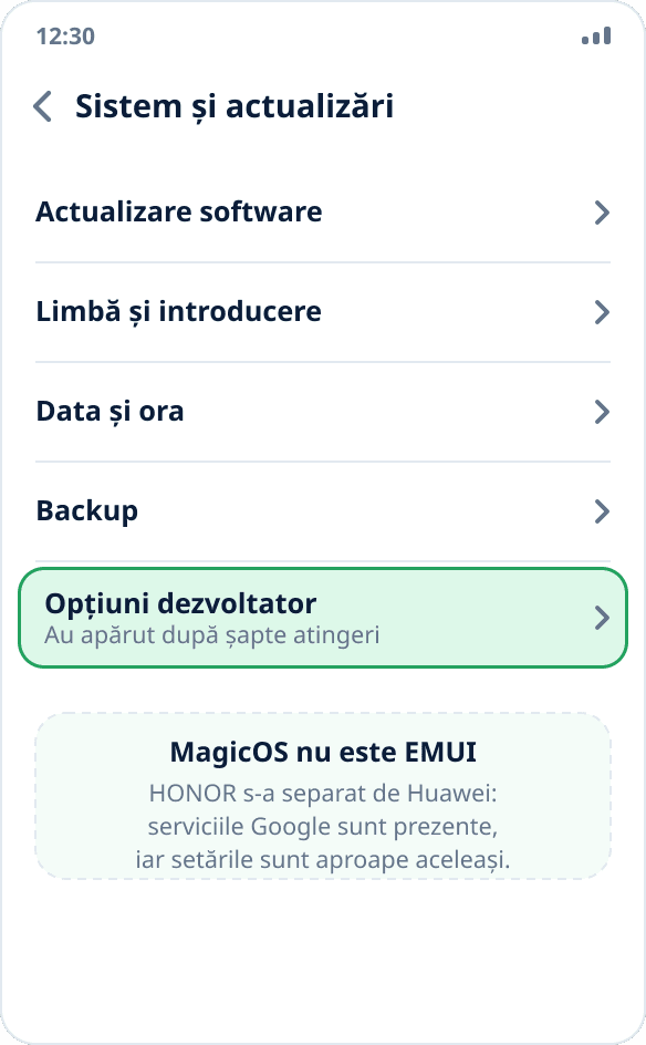 Secțiunea „Sistem și actualizări” pe HONOR: „Opțiuni dezvoltator” după activarea modului