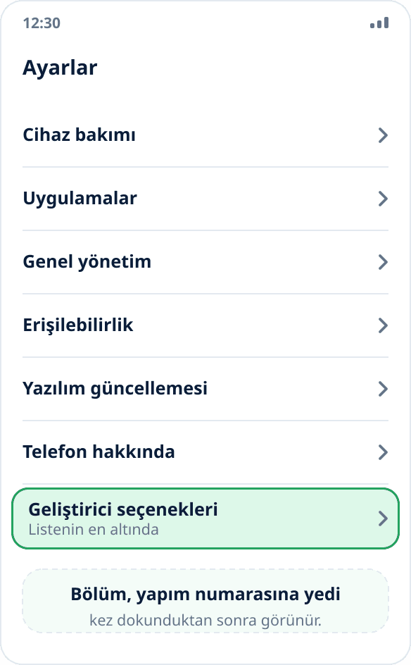 Samsung'un ana ayarlar listesi: «Geliştirici seçenekleri» en altta
