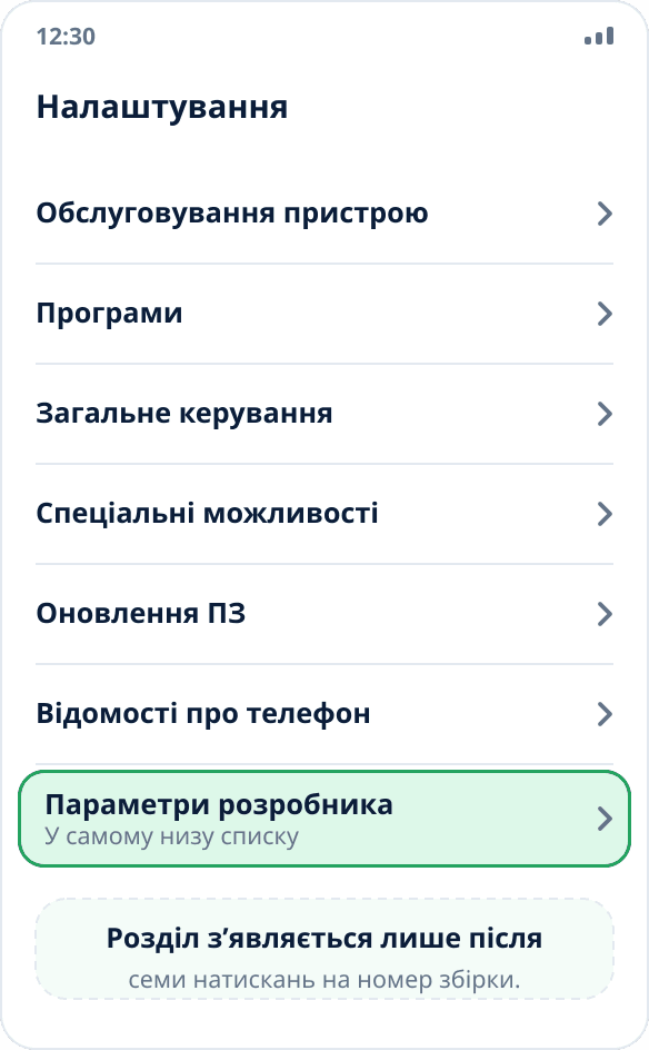 Загальний список налаштувань Samsung: пункт «Параметри розробника» в самому низу