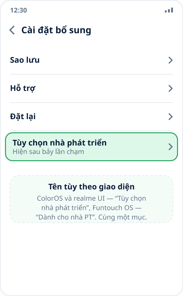 Mục “Cài đặt bổ sung” trên ColorOS: “Tùy chọn nhà phát triển” ở cuối danh sách